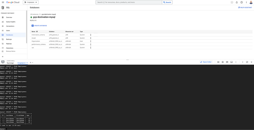 data from SQL Server migrated to MySQL