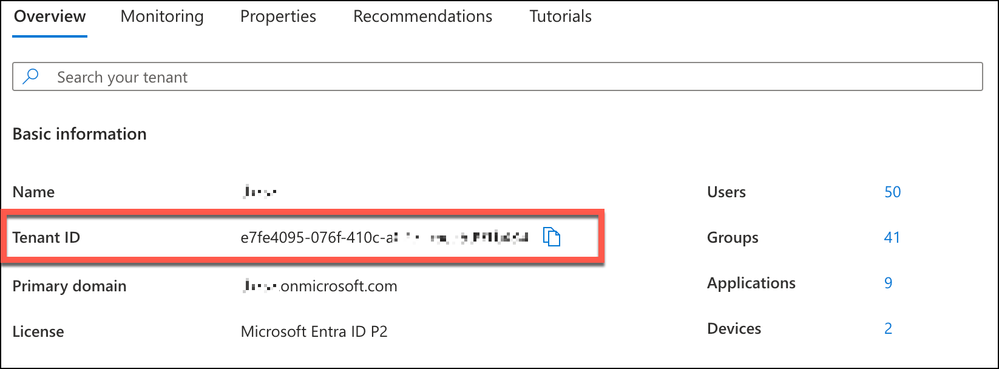 ntc-o365-1-entraid-overview-tenantid-4.png