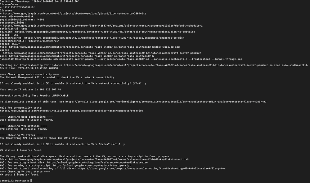 the google cloud CLI