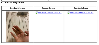 Nadhirah_1-1740981518138.png