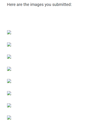 DaneDeBeer_1-1741704374478.png