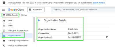 2025-03-21 12_49_42-Organization Details – IAM & Admin – trulab.com – Google Cloud console.png