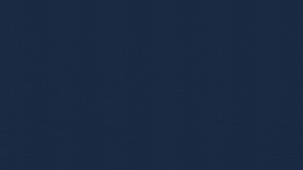 In Focus Series 2025 (12).gif