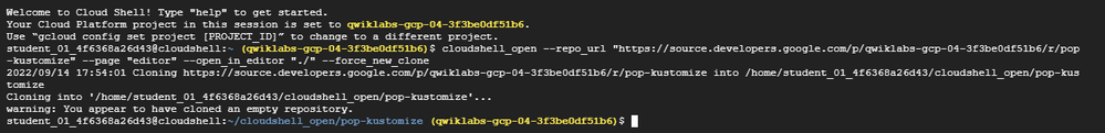 Google source repo empty 2.PNG
