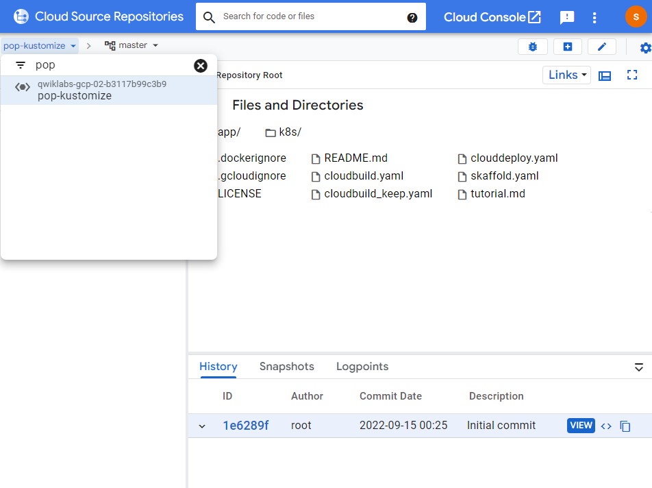 CI_CD_Cloud_Repository_source.png