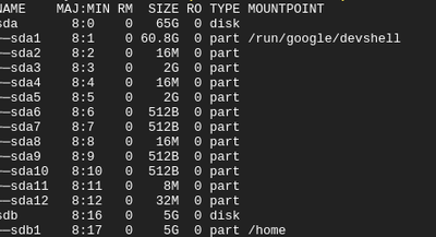 screenshot-shell.cloud.google.com-2022.10.09-23_38_16.png