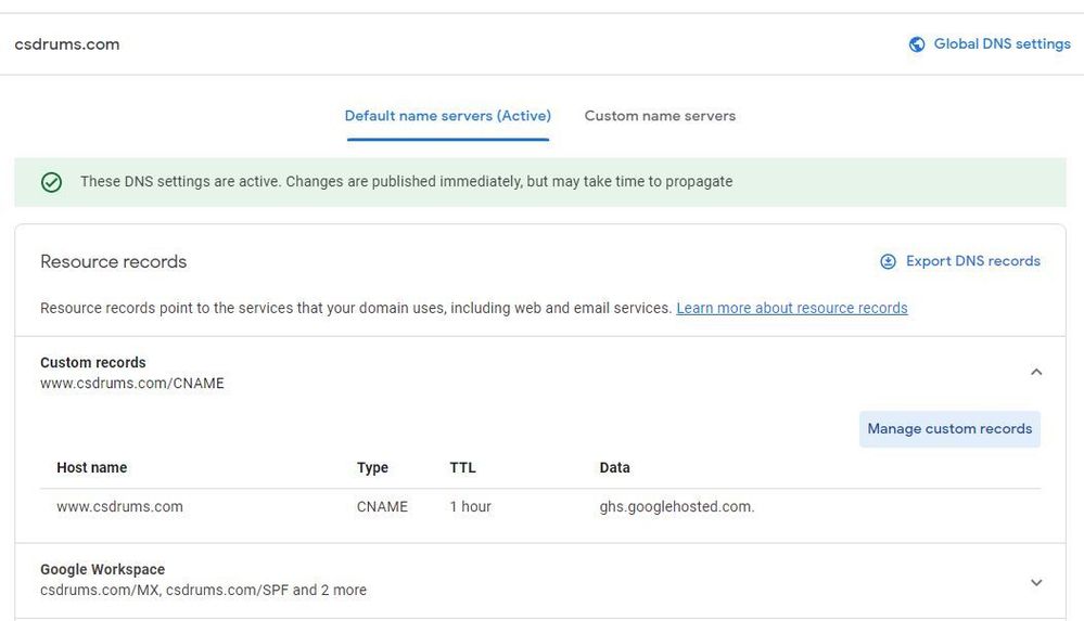 dns records1.JPG